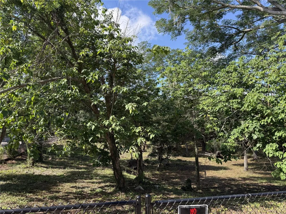 521 E CLAY AVENUE Brandon, FL 33510