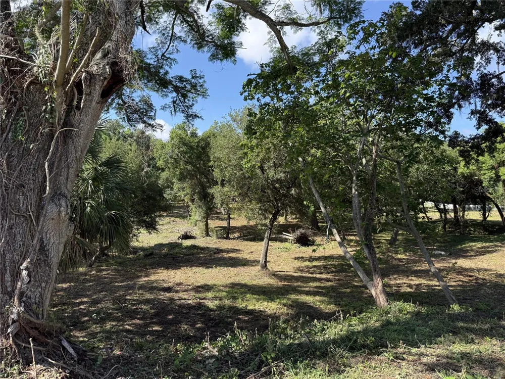 521 E CLAY AVENUE Brandon, FL 33510