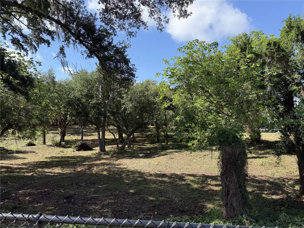 521 E CLAY AVENUE Brandon, FL 33510