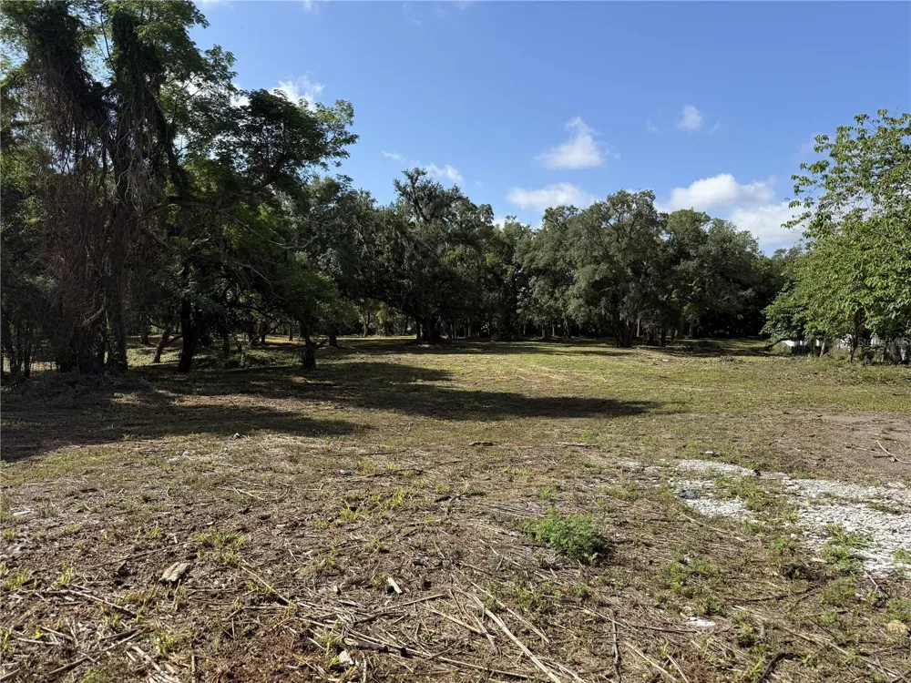 521 E CLAY AVENUE Brandon, FL 33510