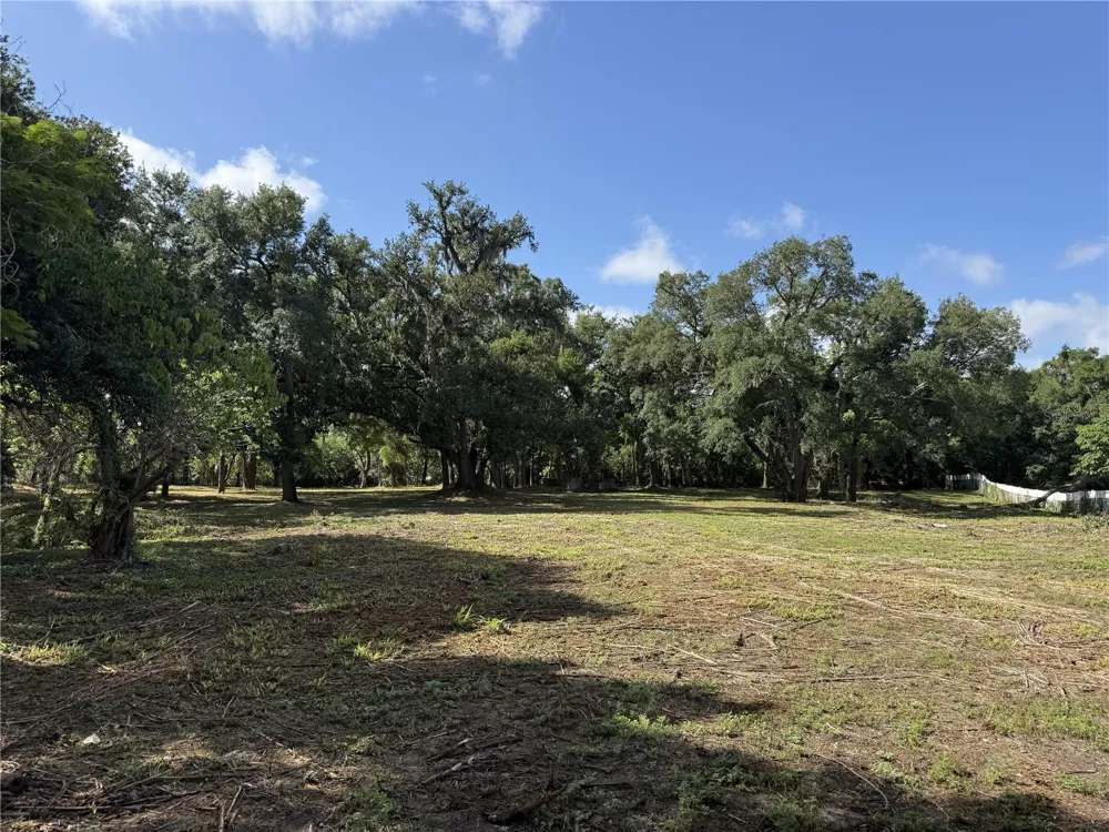 521 E CLAY AVENUE Brandon, FL 33510