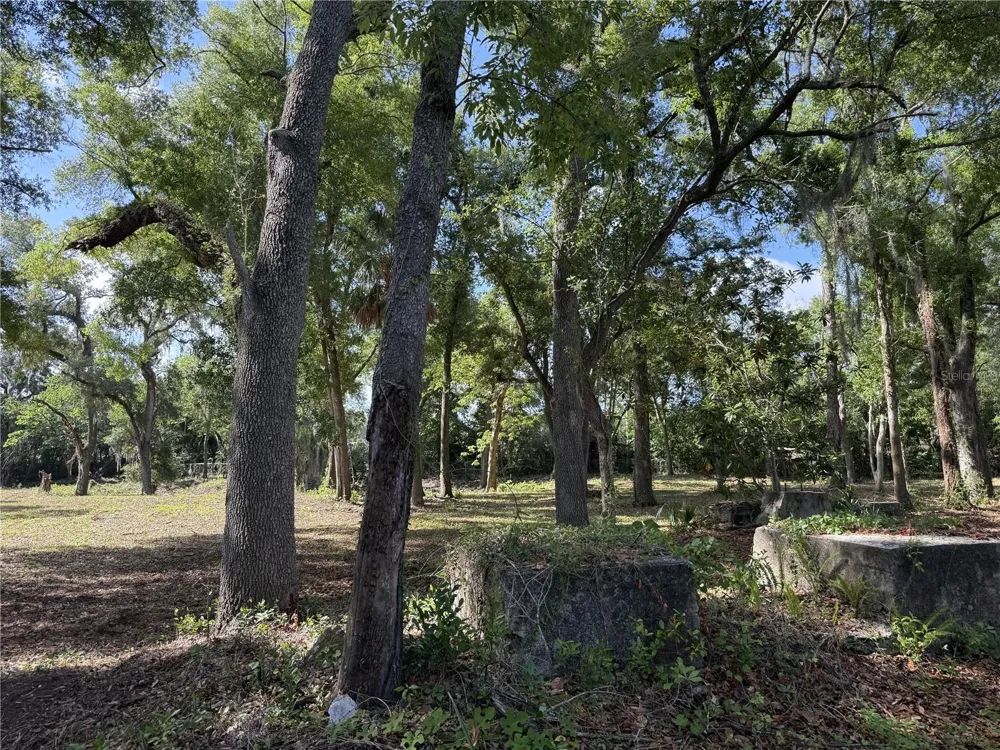 521 E CLAY AVENUE Brandon, FL 33510