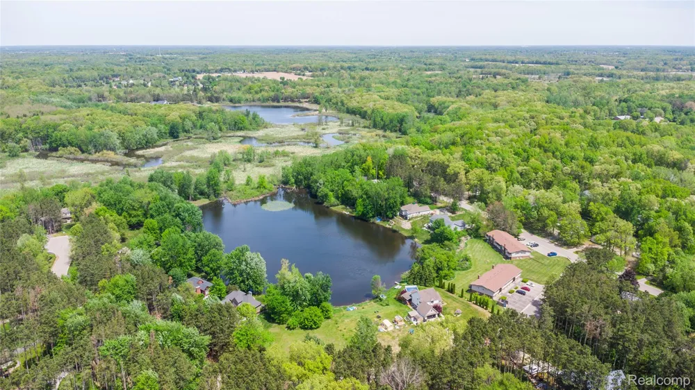 9076 Pineview Lake Court Argentine Township, MI 48451