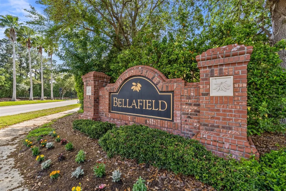 4424 VERMILLION SKY DRIVE Wesley Chapel, FL 33544