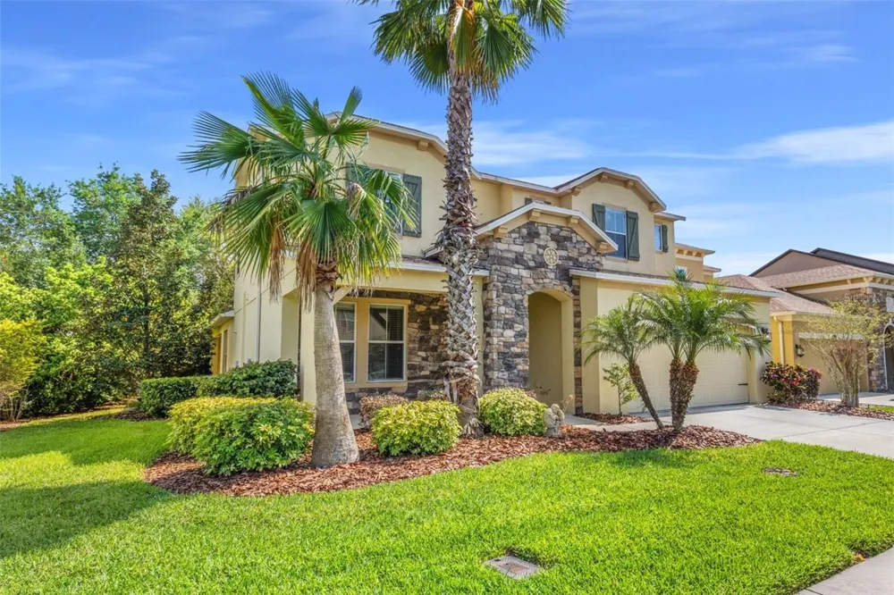 4424 VERMILLION SKY DRIVE Wesley Chapel, FL 33544