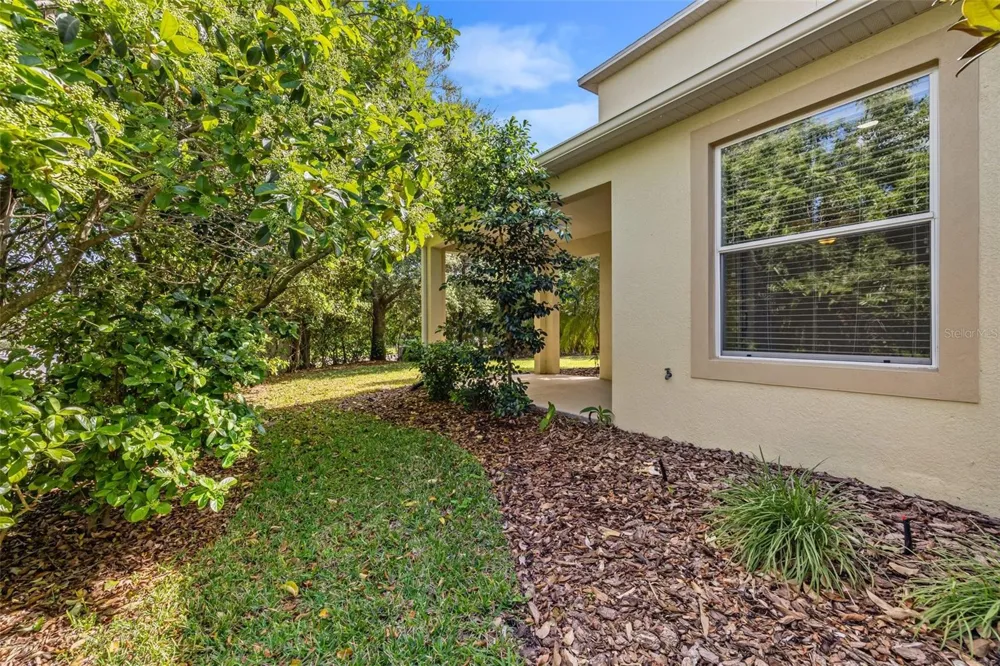 4424 VERMILLION SKY DRIVE Wesley Chapel, FL 33544