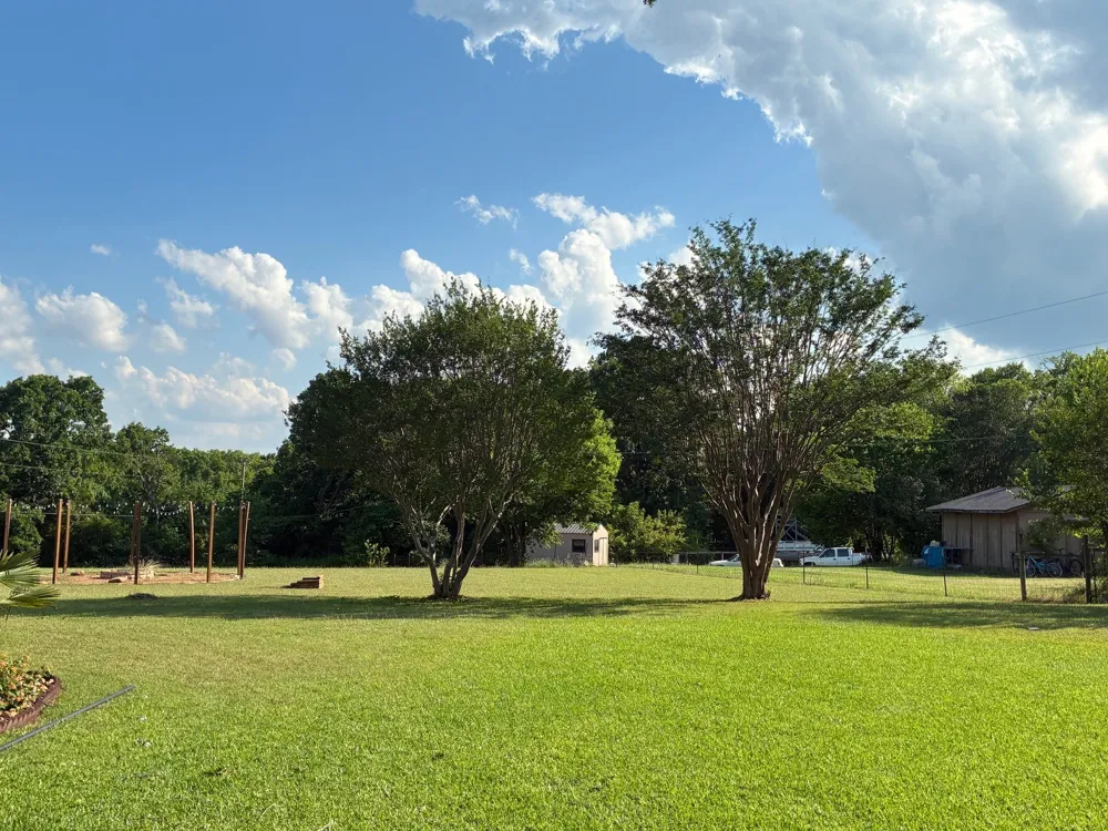 105 Elm Drive Oak Leaf, TX 75154