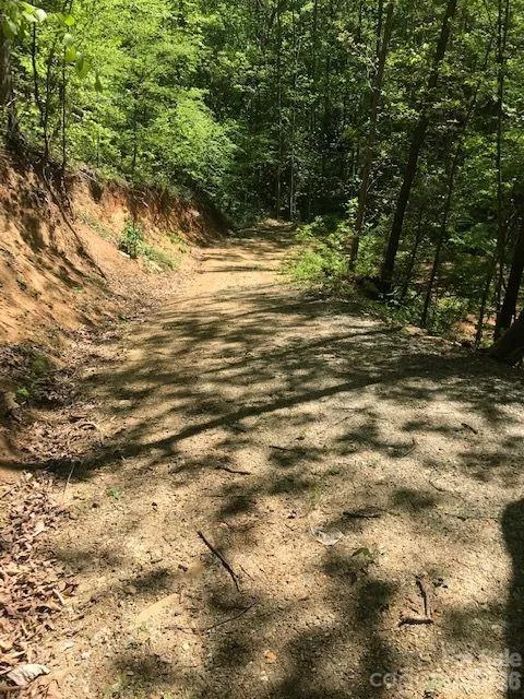 00 Charleston Harbor Drive #11 Saluda, NC 28773
