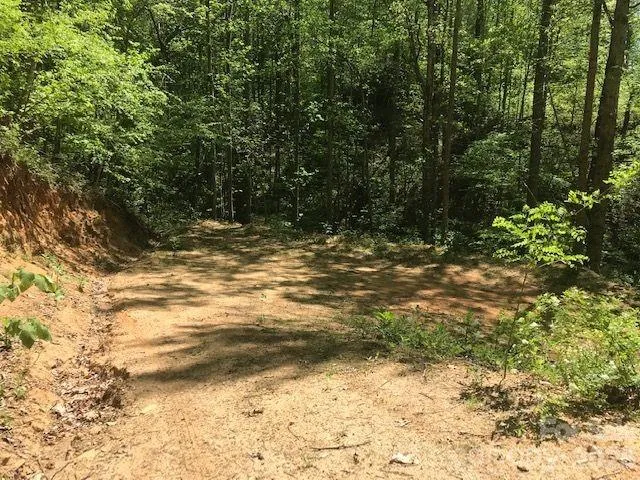 00 Charleston Harbor Drive #11 Saluda, NC 28773
