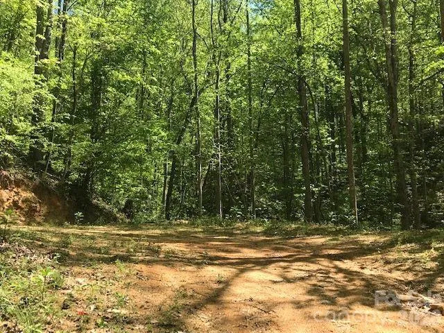 00 Charleston Harbor Drive #11 Saluda, NC 28773