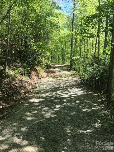 00 Charleston Harbor Drive #11 Saluda, NC 28773