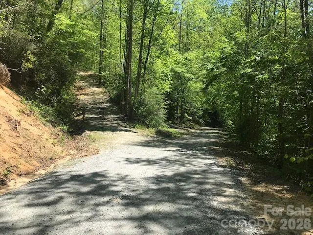 00 Charleston Harbor Drive #11 Saluda, NC 28773