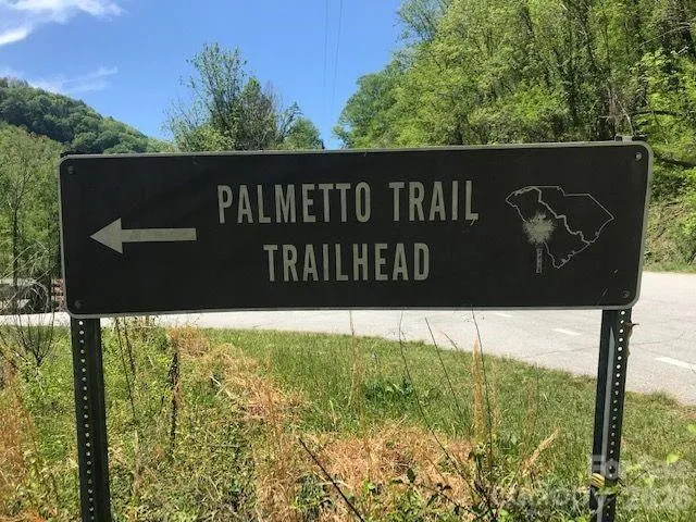 00 Charleston Harbor Drive #11 Saluda, NC 28773