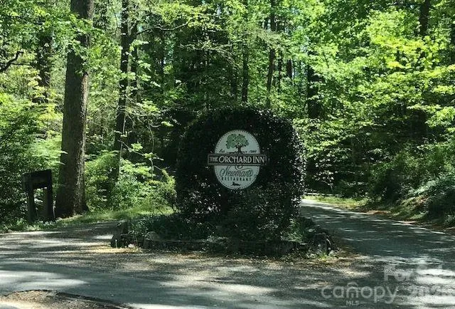 00 Charleston Harbor Drive #11 Saluda, NC 28773