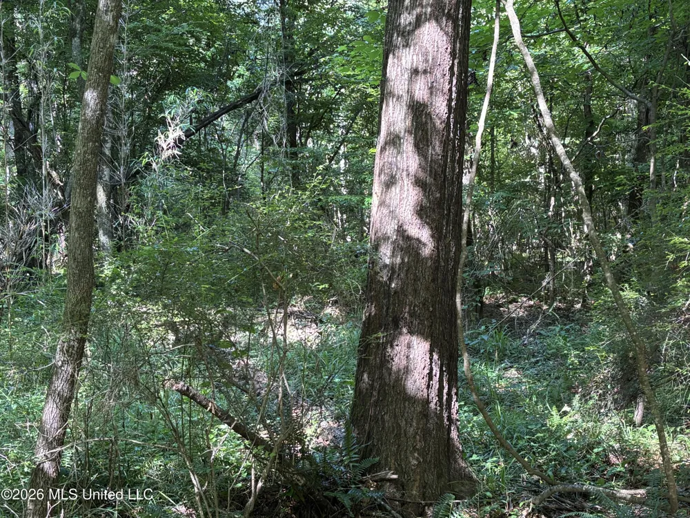 Beach Road Roxie, MS 39661