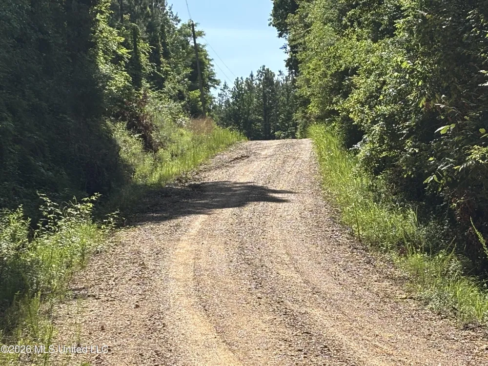 Beach Road Roxie, MS 39661