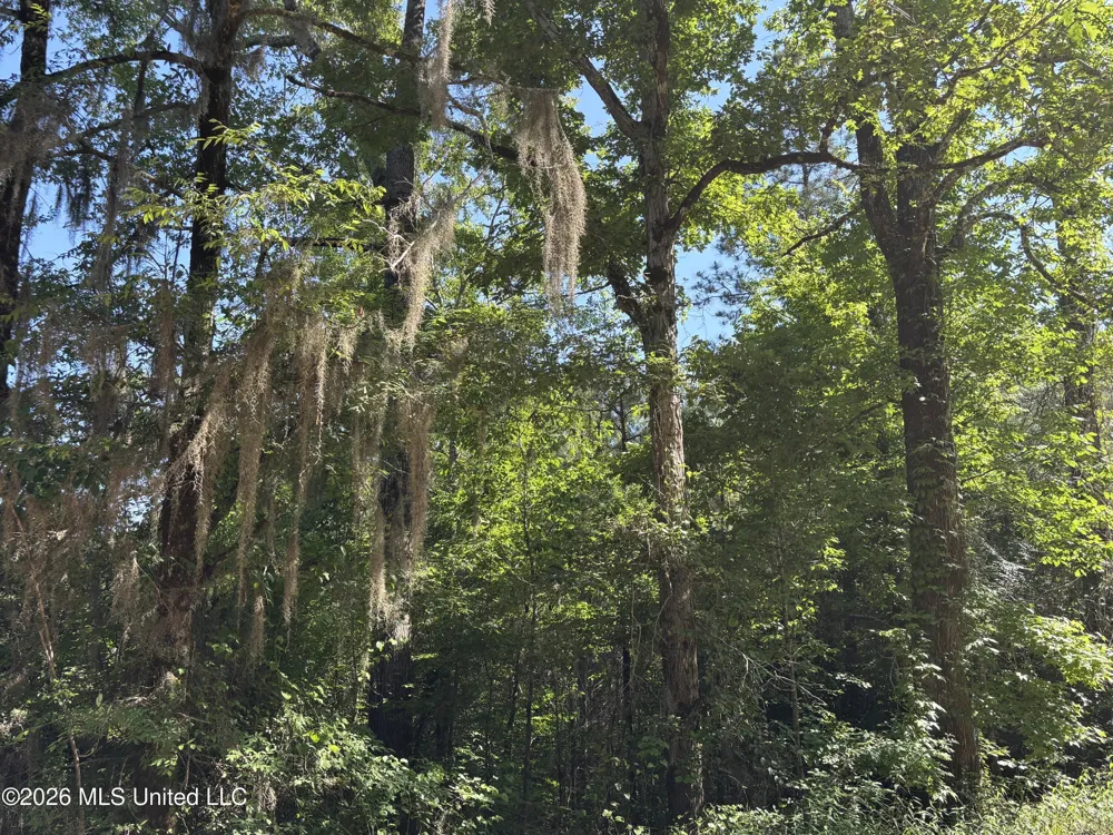 Beach Road Roxie, MS 39661