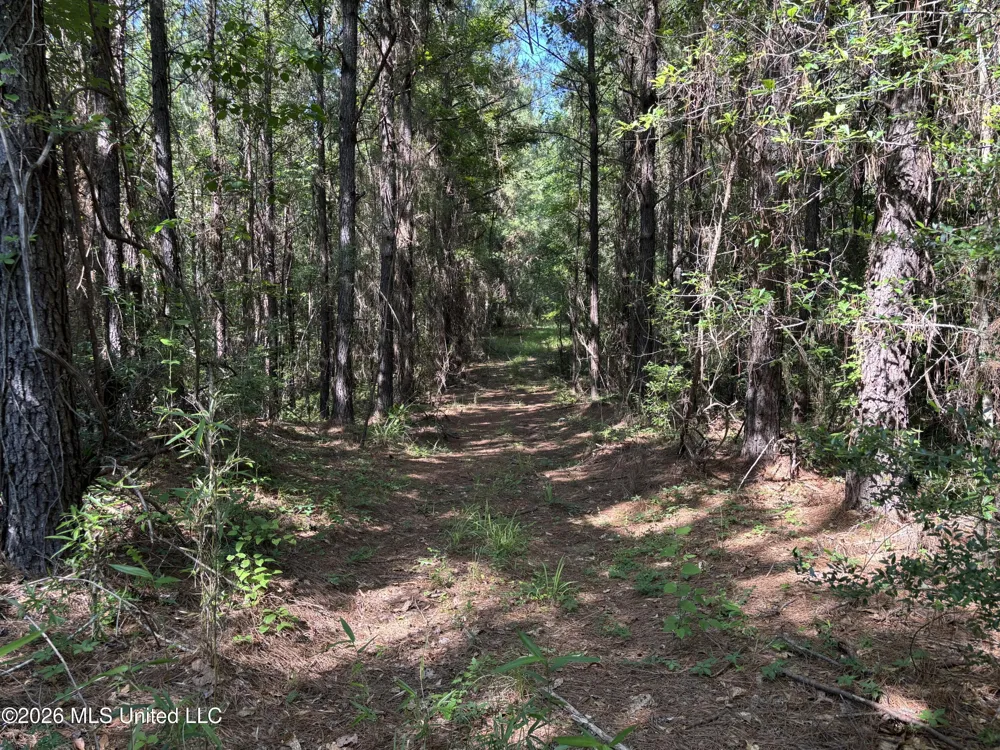 Beach Road Roxie, MS 39661