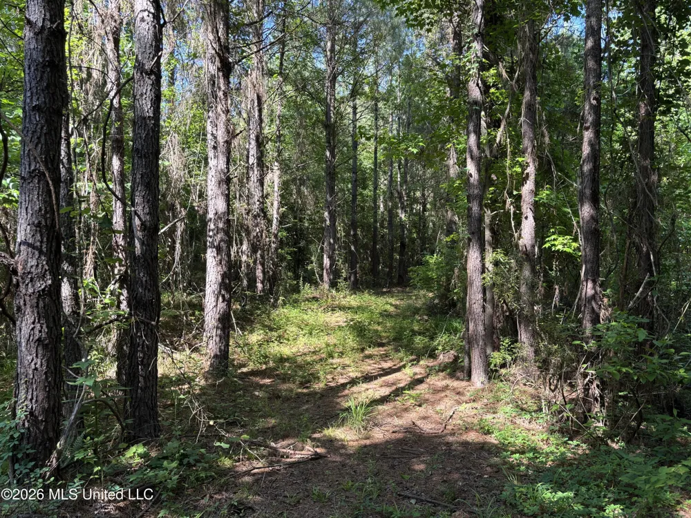 Beach Road Roxie, MS 39661