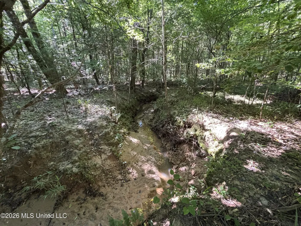 Beach Road Roxie, MS 39661
