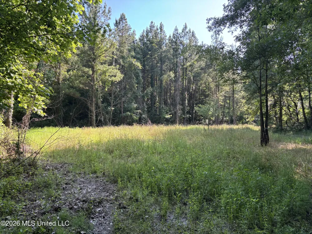 Beach Road Roxie, MS 39661