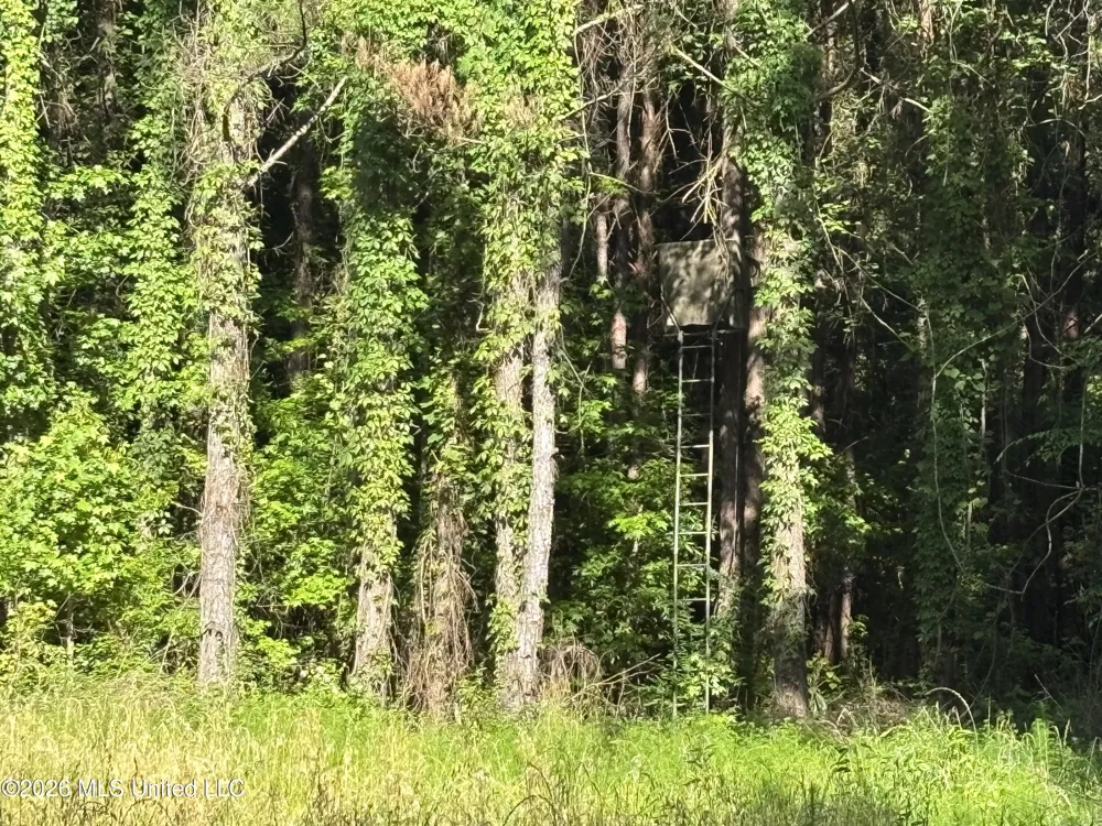 Beach Road Roxie, MS 39661