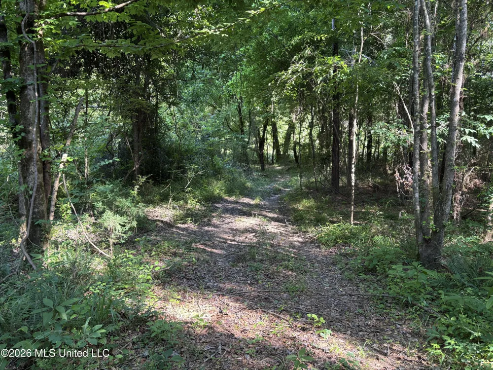 Beach Road Roxie, MS 39661
