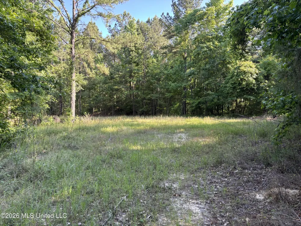 Beach Road Roxie, MS 39661