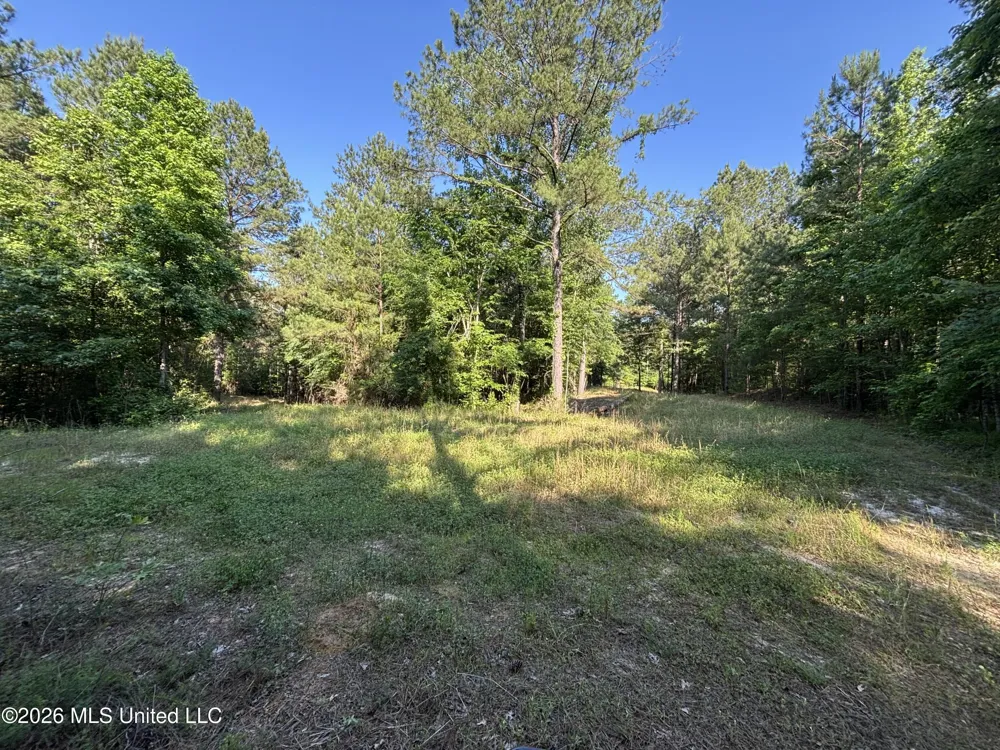 Beach Road Roxie, MS 39661