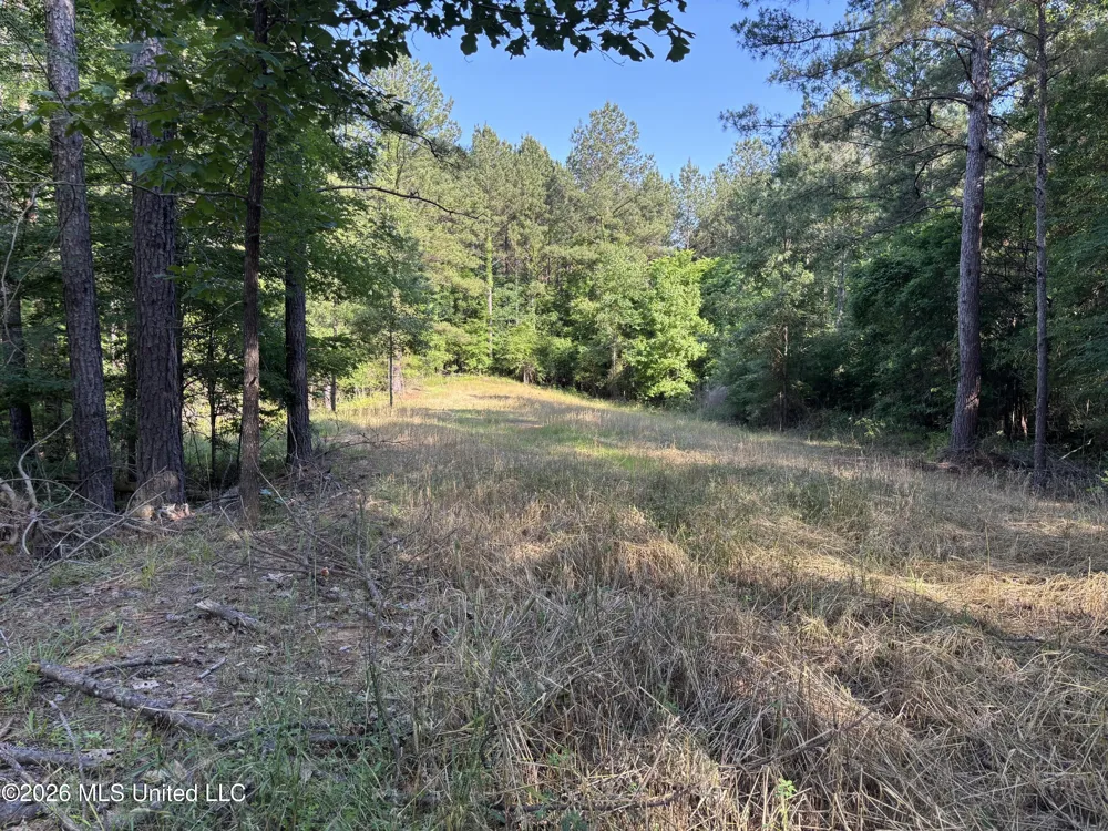 Beach Road Roxie, MS 39661