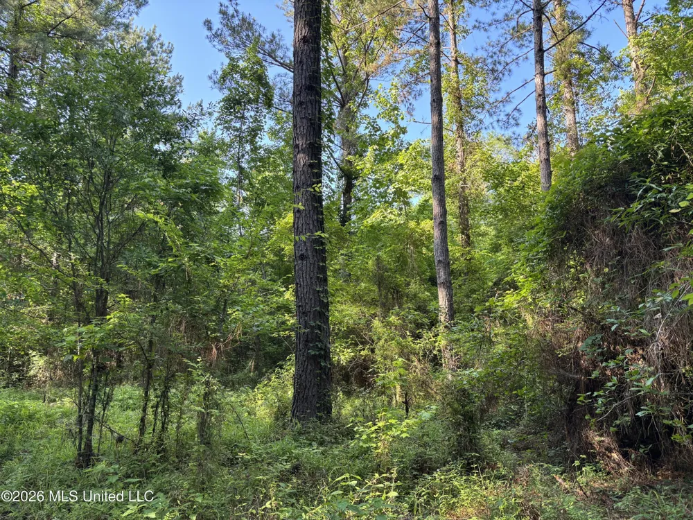 Beach Road Roxie, MS 39661