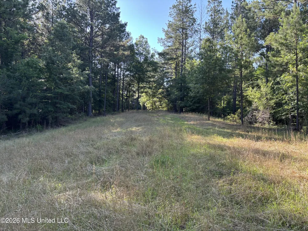 Beach Road Roxie, MS 39661