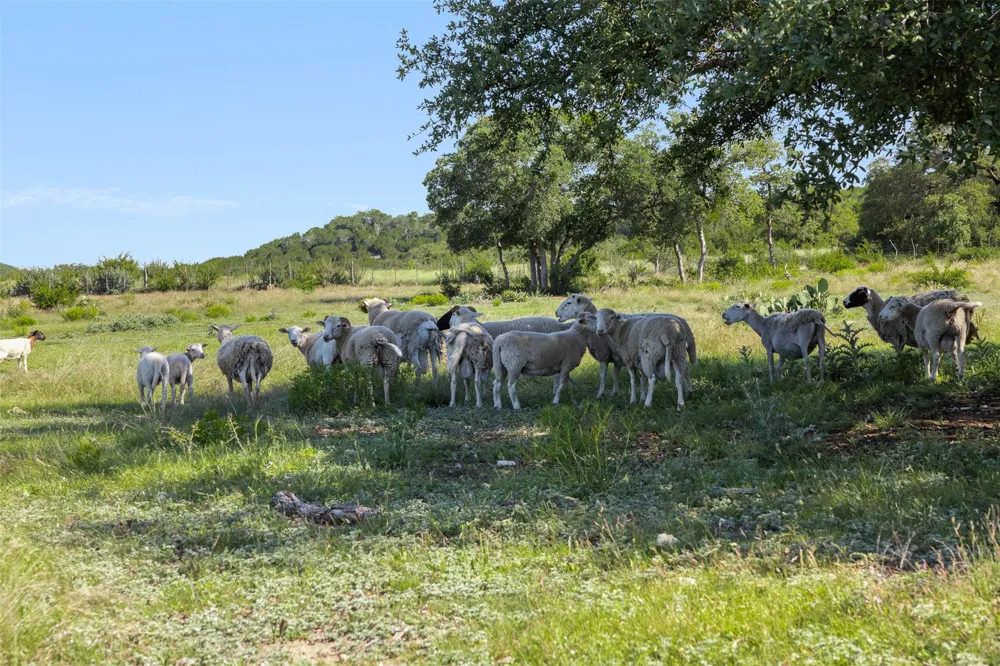 1081 County Road 1320 Lampasas, TX 76550
