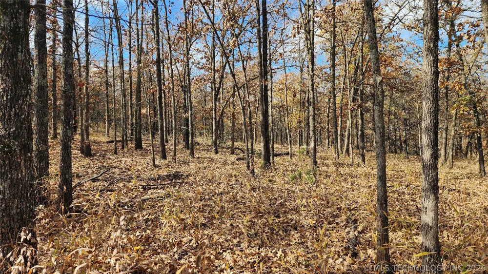 427640 E 290 ROAD Chelsea, OK 74016