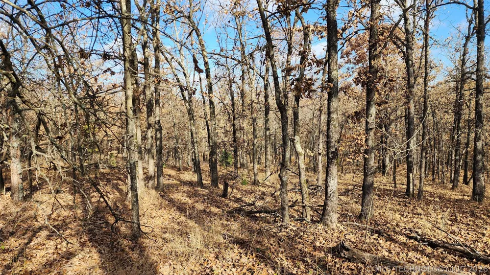 427640 E 290 ROAD Chelsea, OK 74016