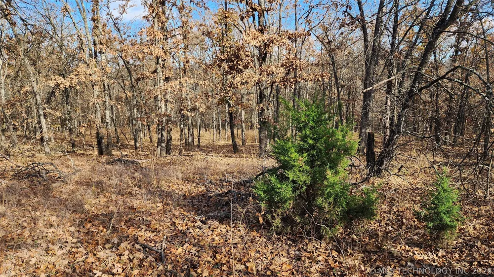 427640 E 290 ROAD Chelsea, OK 74016