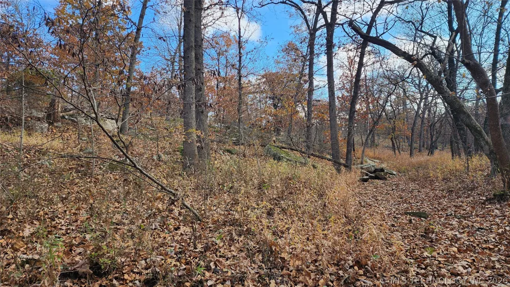 427640 E 290 ROAD Chelsea, OK 74016