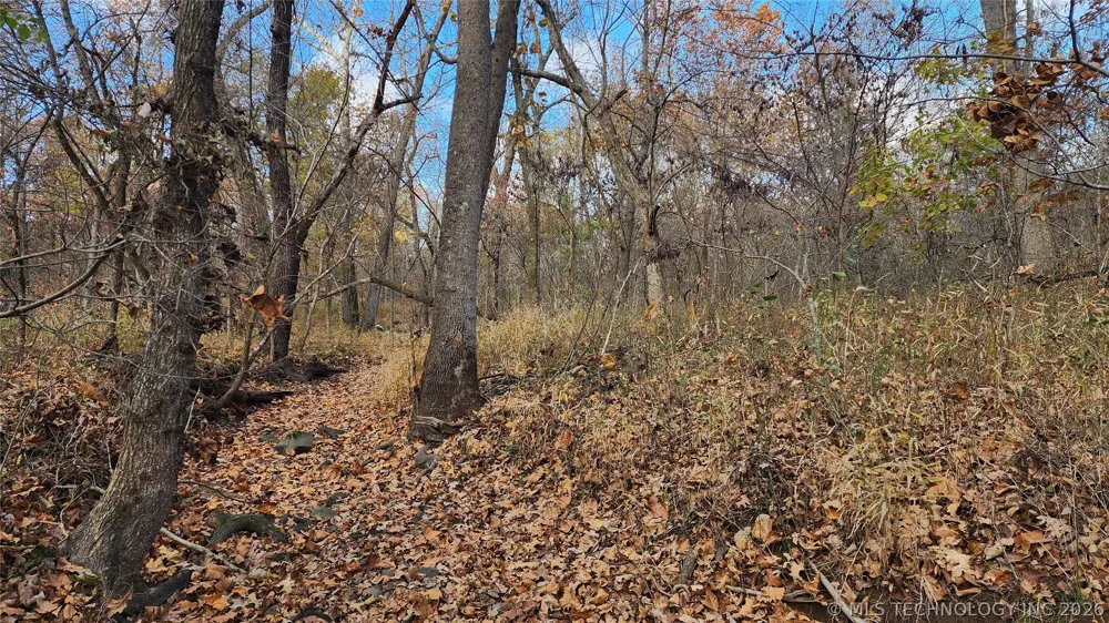 427640 E 290 ROAD Chelsea, OK 74016