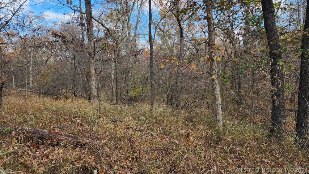 427640 E 290 ROAD Chelsea, OK 74016