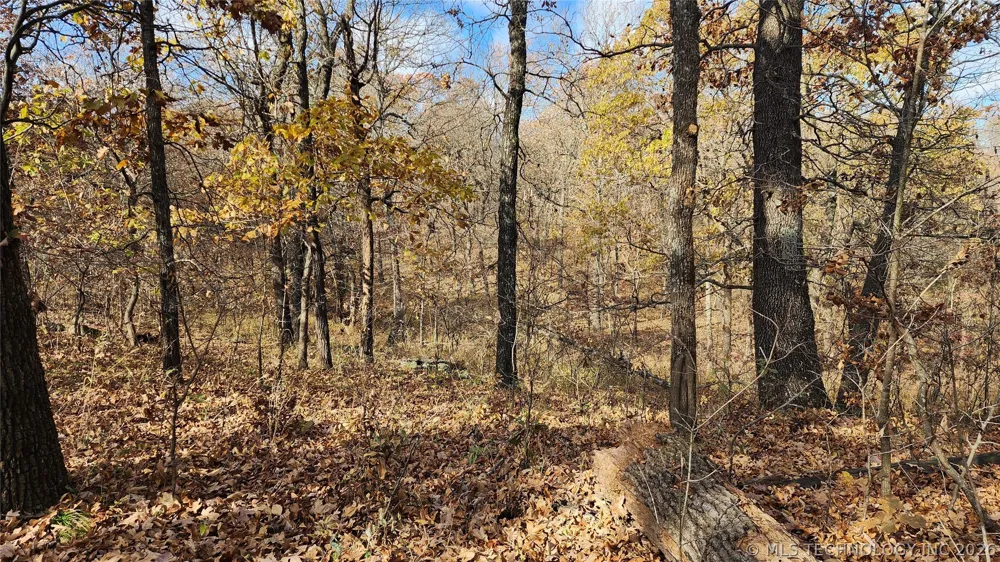 427640 E 290 ROAD Chelsea, OK 74016