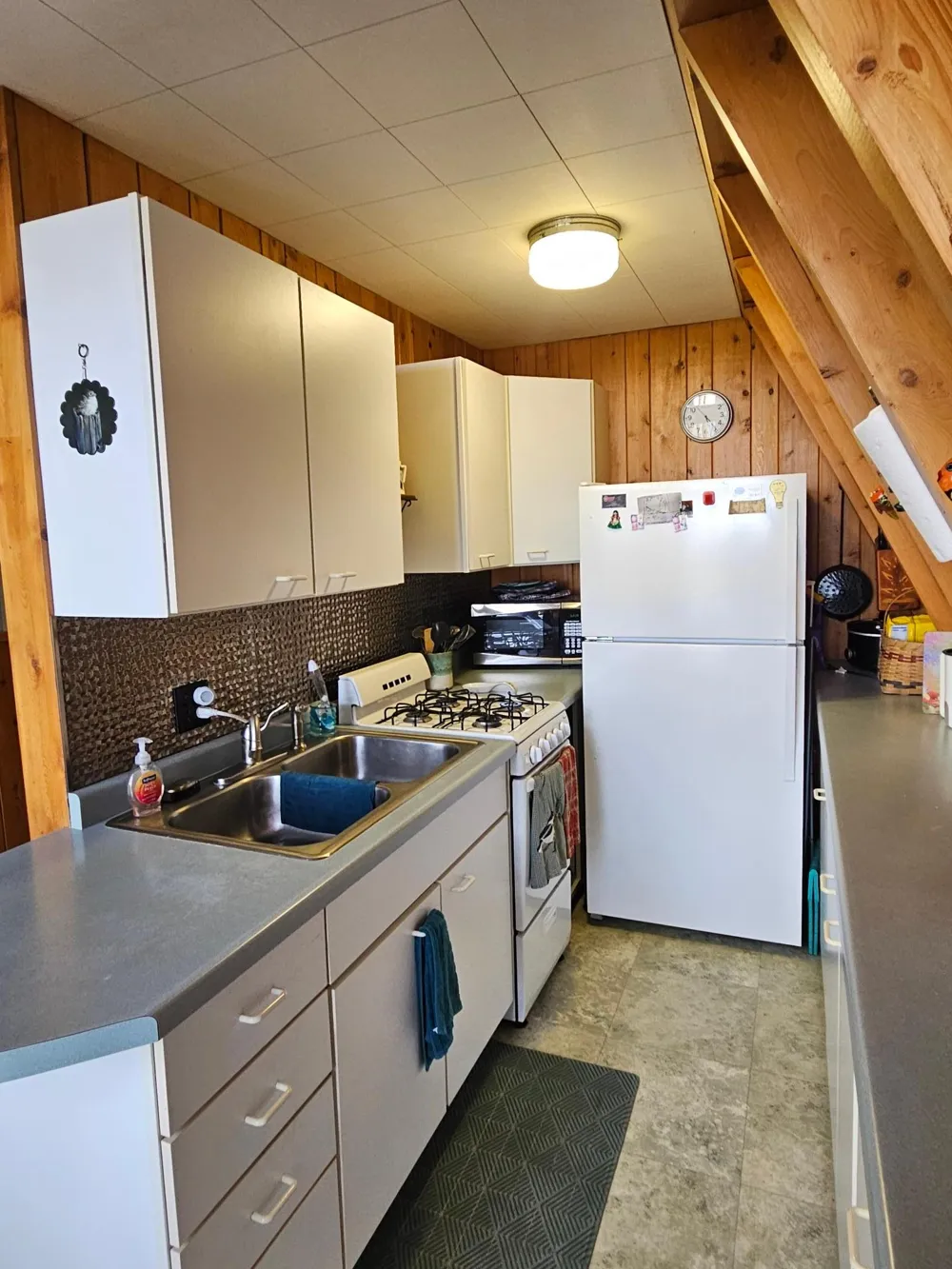 6728 Rocky Point Road NW Roosevelt, MN 56673
