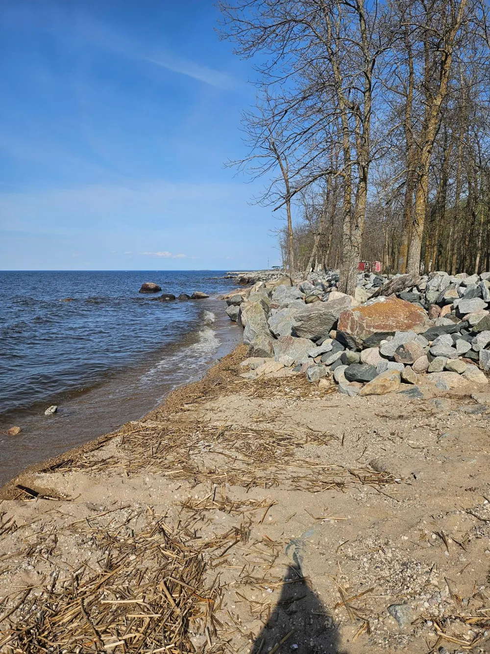 6728 Rocky Point Road NW Roosevelt, MN 56673
