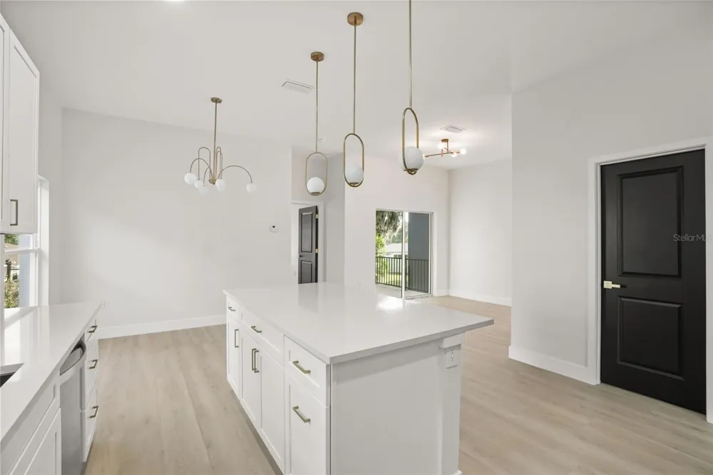 823 E MCDONALD AVENUE Eustis, FL 32726