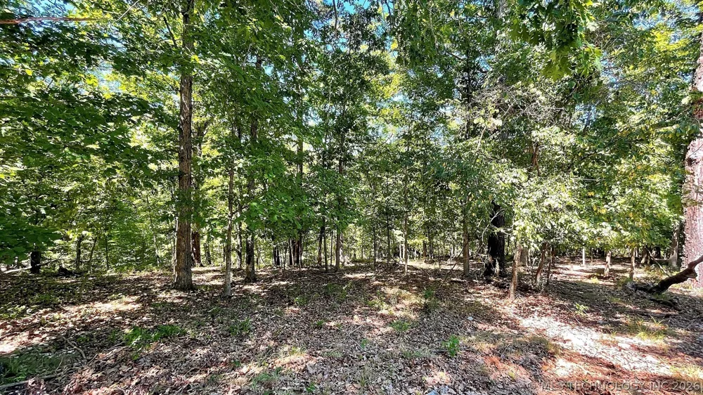 142 Dogwood Circle Kansas, OK 74347