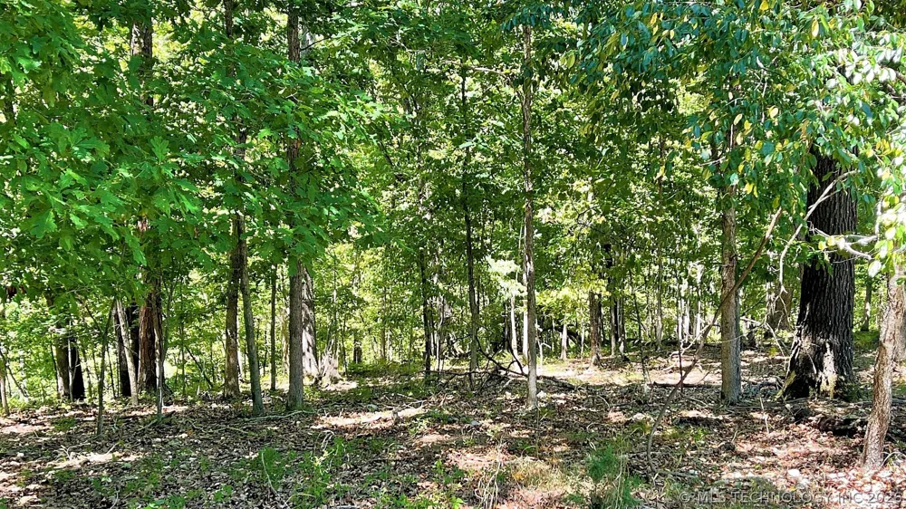 142 Dogwood Circle Kansas, OK 74347