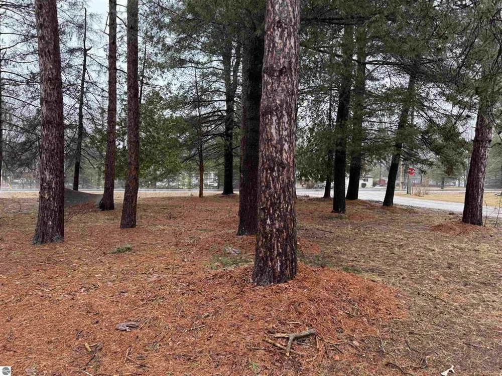 3105 3 1/4 ROAD Springville Township, MI 49668