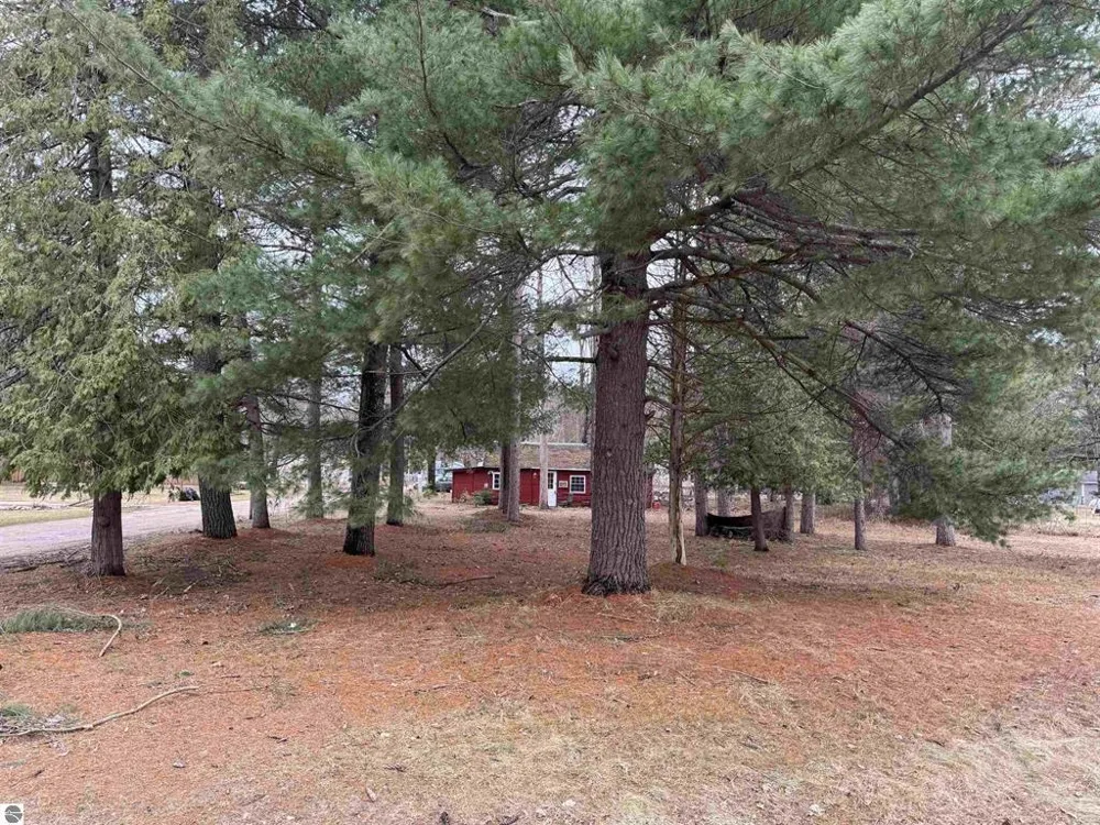 3105 3 1/4 ROAD Springville Township, MI 49668