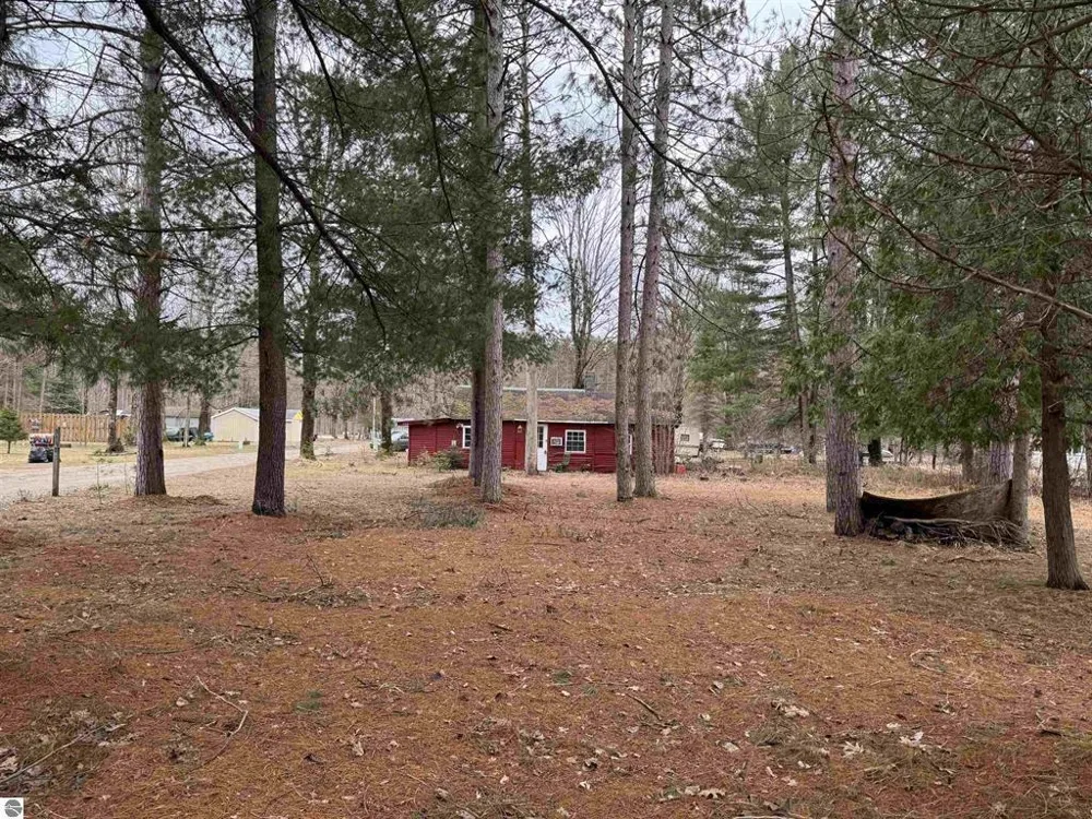 3105 3 1/4 ROAD Springville Township, MI 49668