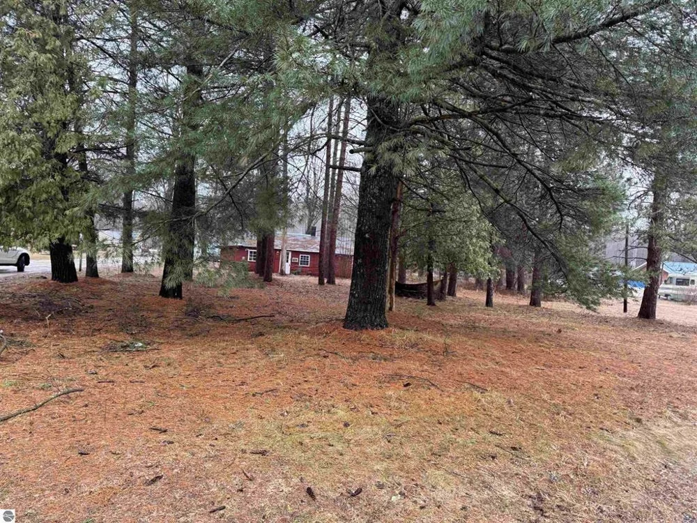 3105 3 1/4 ROAD Springville Township, MI 49668