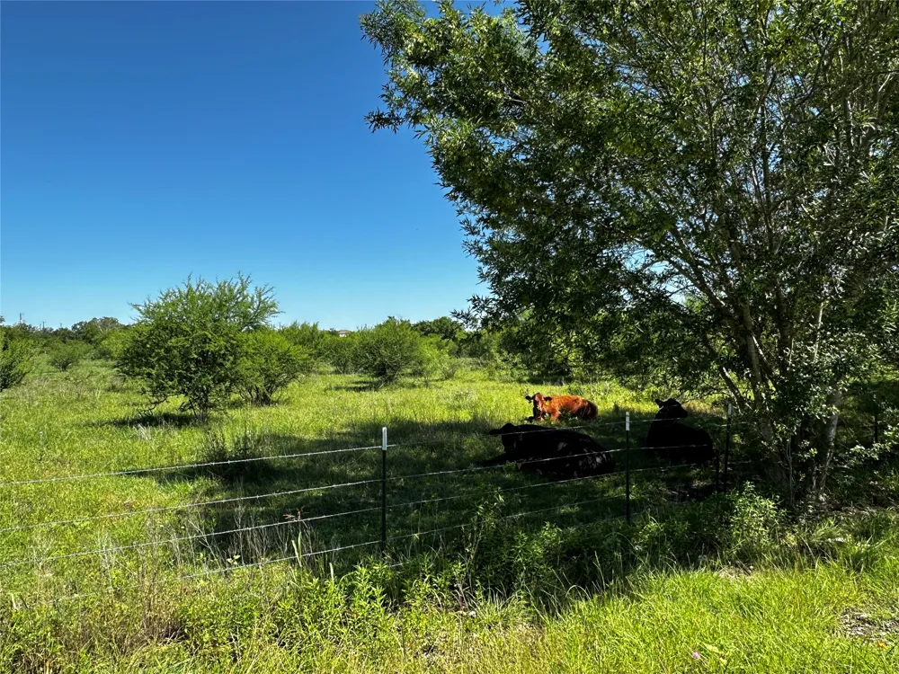 Scott Street Kyle, TX 78640